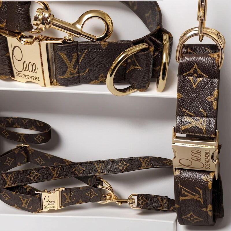 French Bulldog - Designer Dog Collar and Leash - Gucci - Louis Vuitton. for sale in London - Image 7