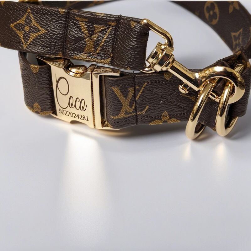 French Bulldog - Designer Dog Collar and Leash - Gucci - Louis Vuitton. for sale in London - Image 8