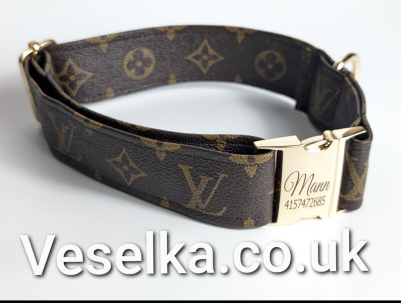 French Bulldog - Designer Dog Collar and Leash - Gucci - Louis Vuitton. for sale in London - Image 9