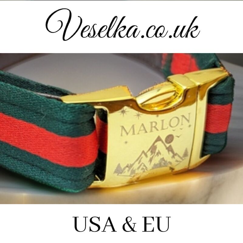 French Bulldog - Designer Dog Collar and Leash - Gucci - Louis Vuitton. for sale in London - Image 13