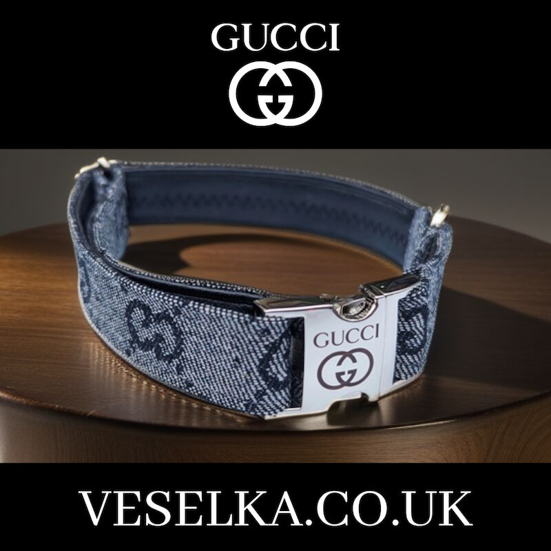 French Bulldog - Designer Dog Collar and Leash - Gucci - Louis Vuitton. for sale in London - Image 14