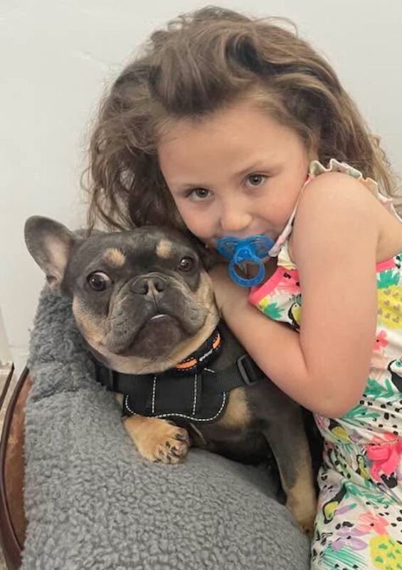 Girl frenchie 2 years old for sale in Manchester, Greater Manchester