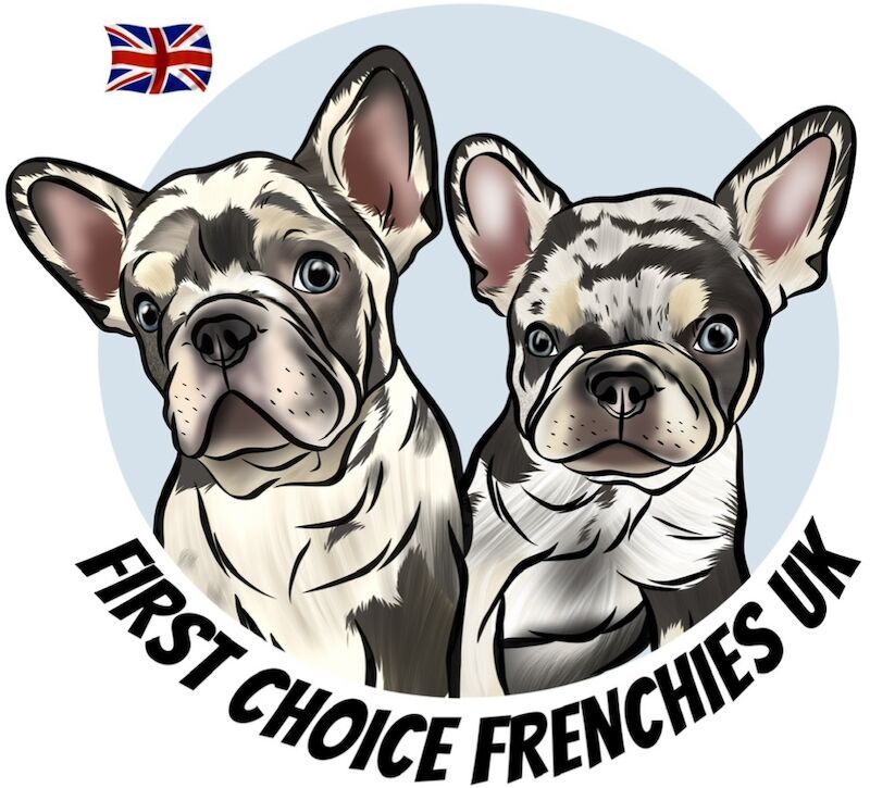 Sonny leeks - Frenchie Breeder on Frenchie Owners - Image 1